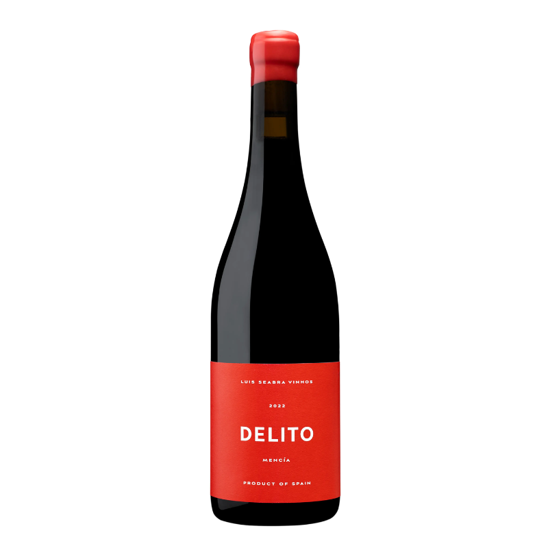DELITO 2023,  LUIS SEABRA